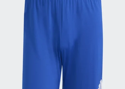 JZ2520 Entrada 26 Royal Blu. Soccer Shorts