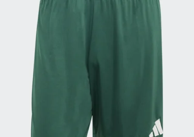 KE9828 Entrada 26 Dk. Green Soccer Shorts